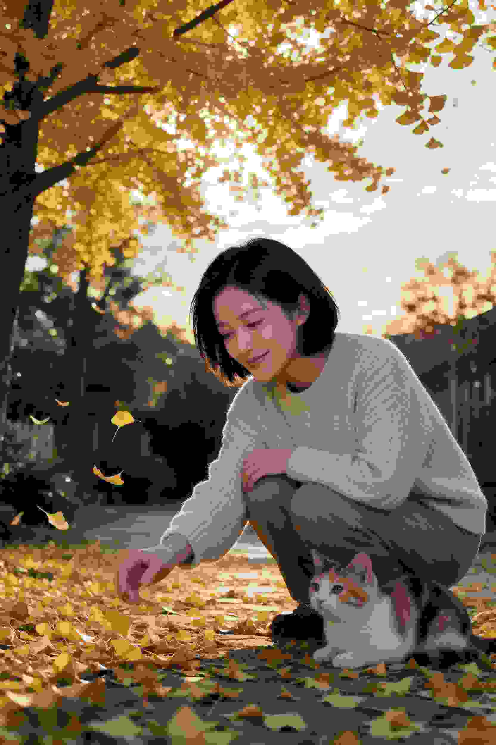 火影忍者